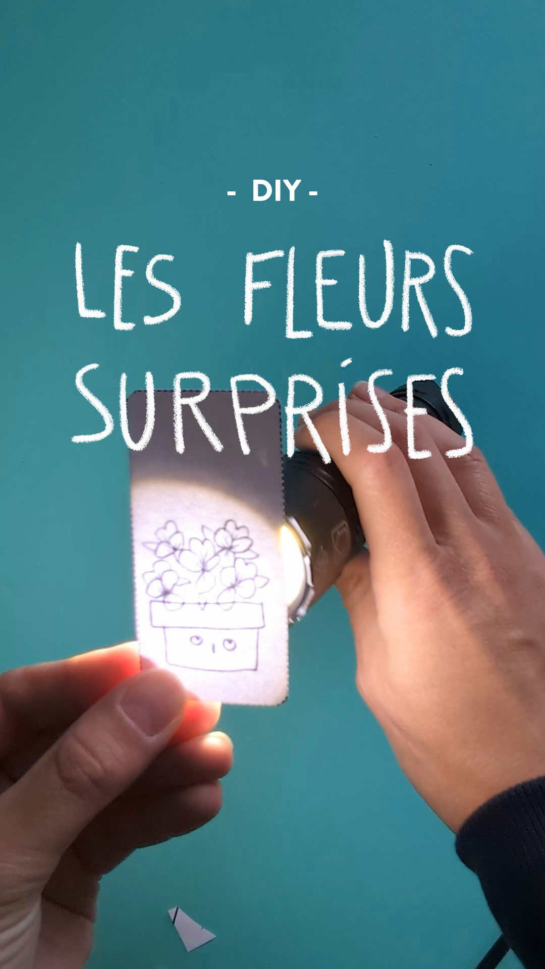 Les fleurs surprises