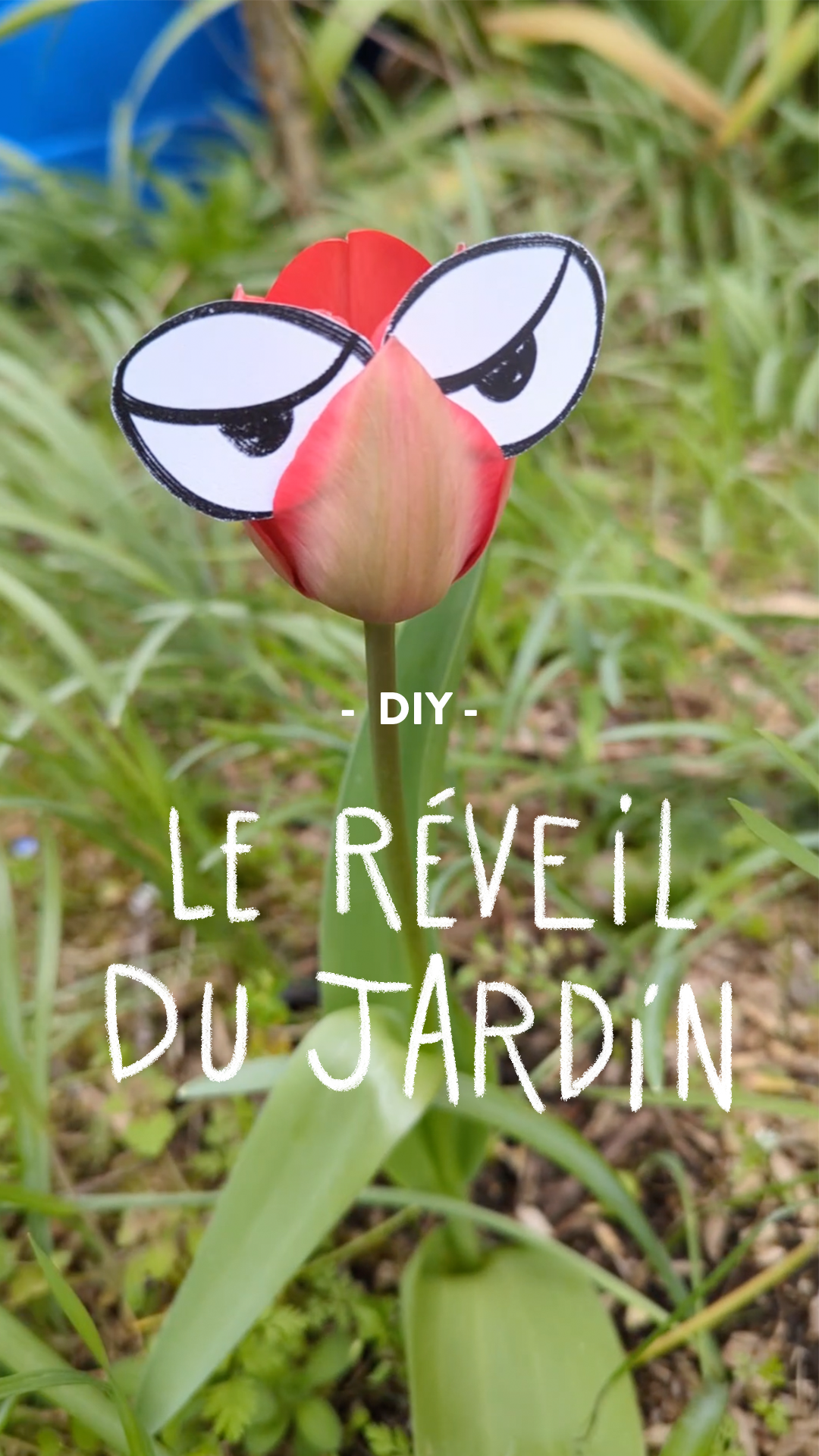 Le réveil du jardin